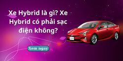 Thông tin tuyển dụng5